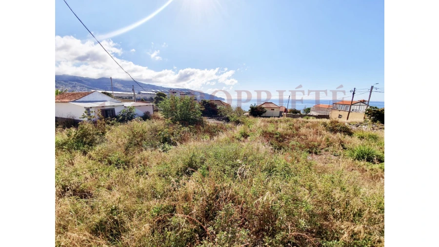 Terreno para Venda em São Martinho Foto 1