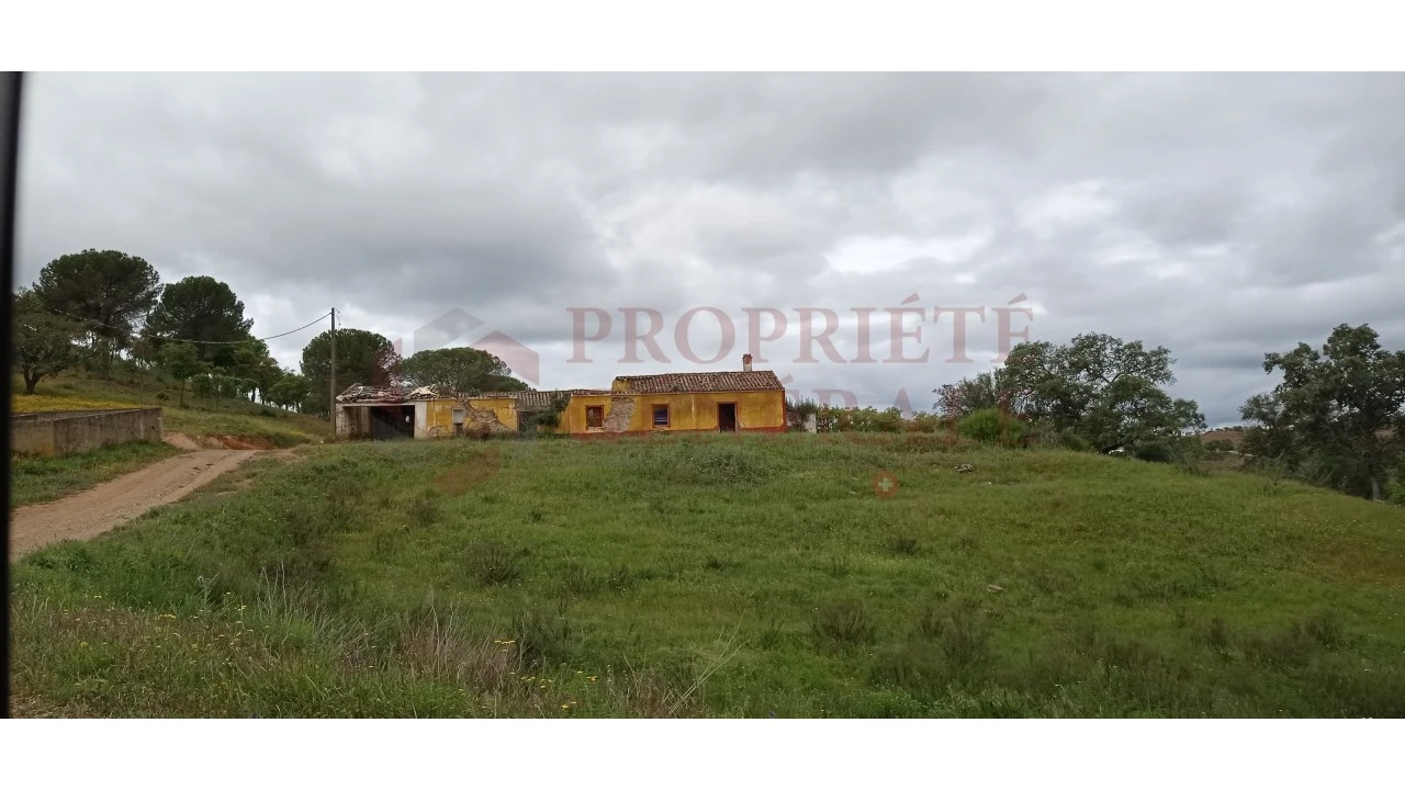 Terreno Misto para Venda em São Bartolomeu de Messines Foto 10