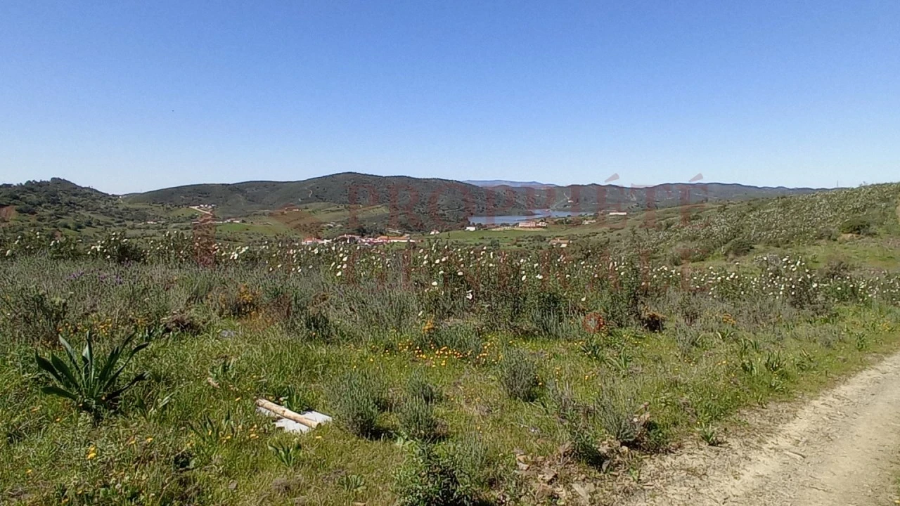 Terreno Misto para Venda em São Bartolomeu de Messines Foto 13