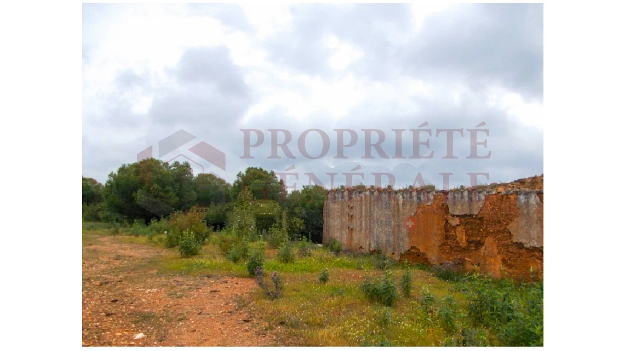 Quinta para Venda em Serpa (Salvador e Santa Maria) Foto 3