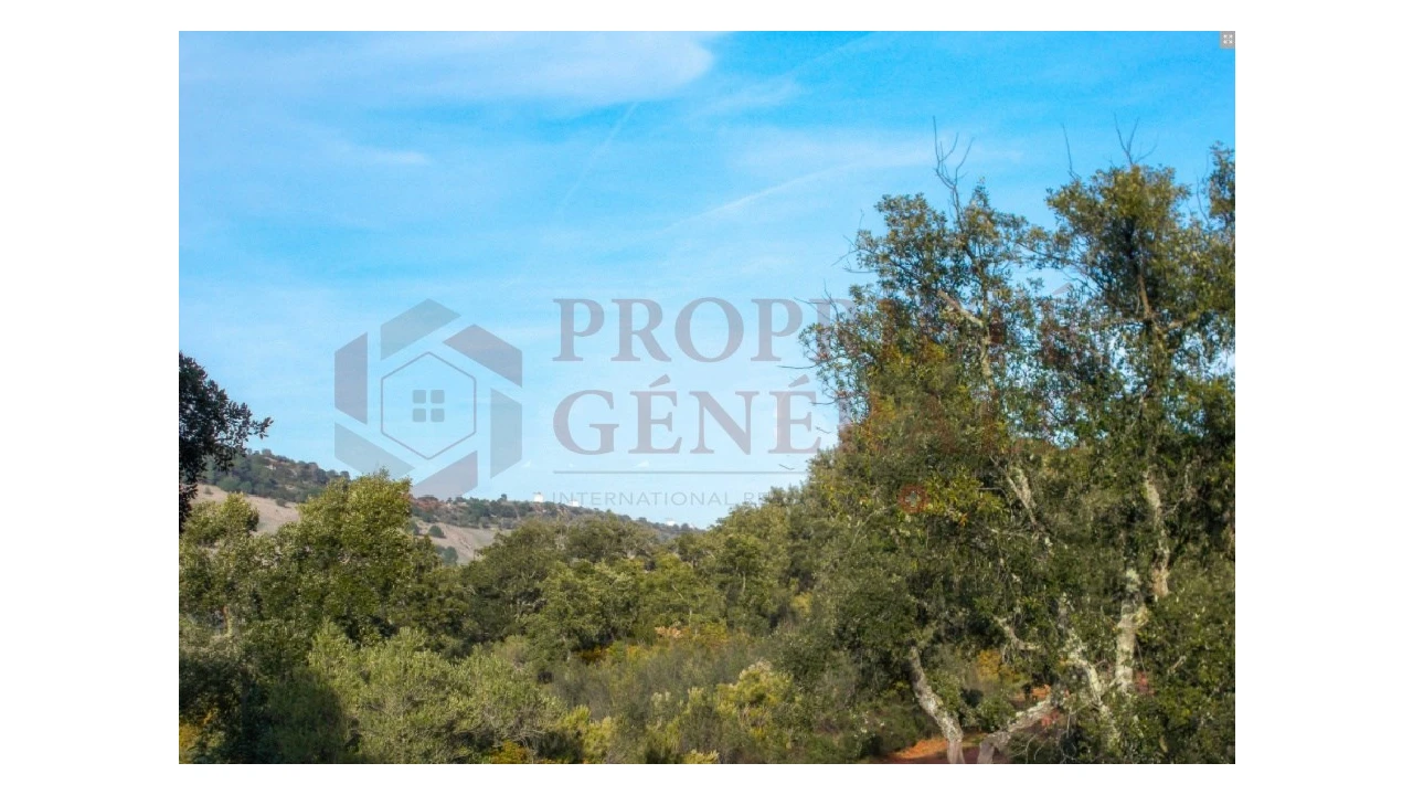 Quinta para Venda em Serpa (Salvador e Santa Maria) Foto 5