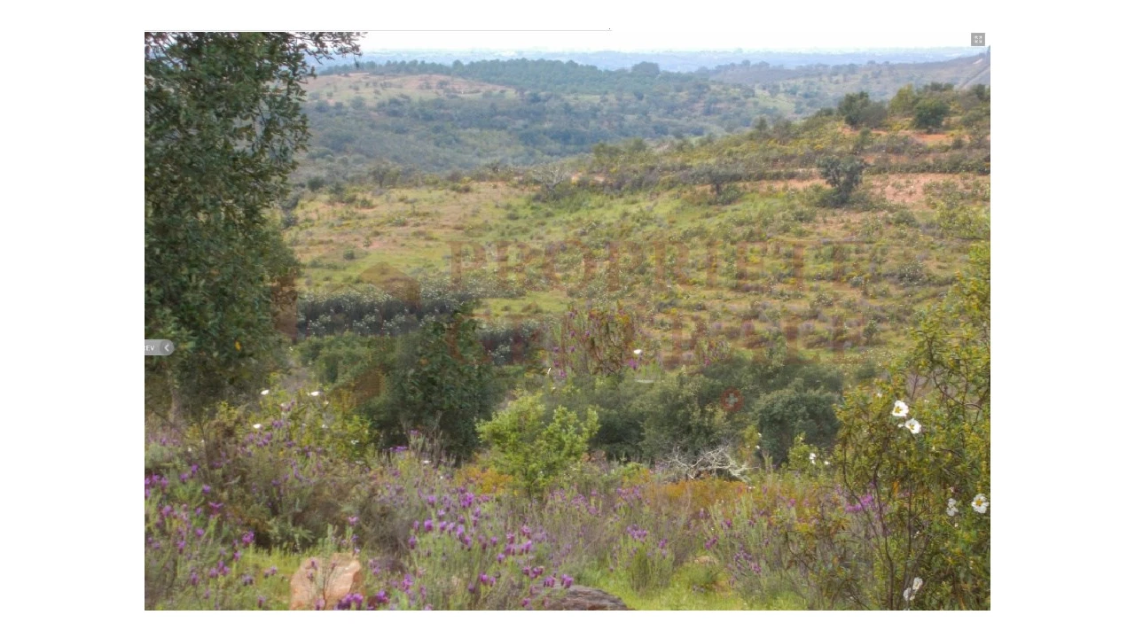 Quinta para Venda em Serpa (Salvador e Santa Maria) Foto 7