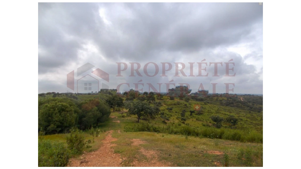 Quinta para Venda em Serpa (Salvador e Santa Maria) Foto 9