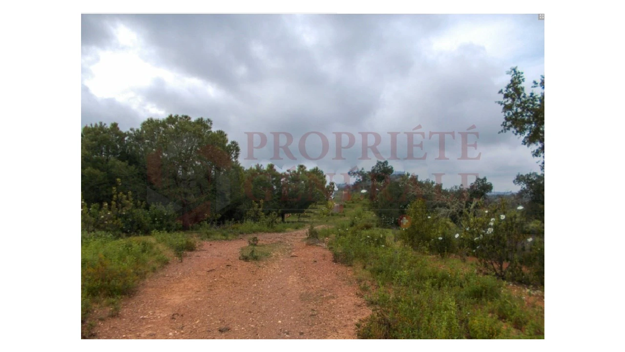 Quinta para Venda em Serpa (Salvador e Santa Maria) Foto 11