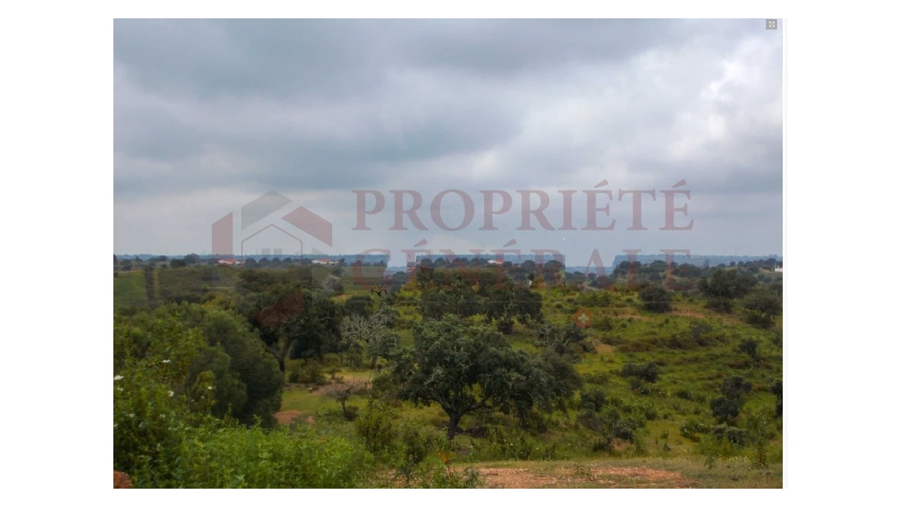 Quinta para Venda em Serpa (Salvador e Santa Maria) Foto 12