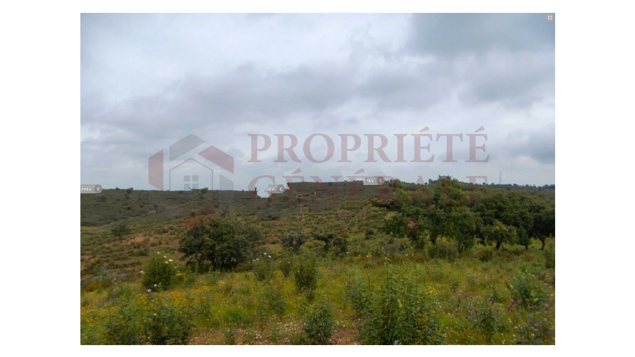 Quinta para Venda em Serpa (Salvador e Santa Maria) Foto 14