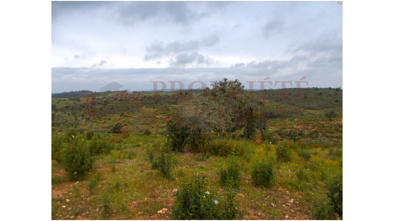 Quinta para Venda em Serpa (Salvador e Santa Maria) Foto 15