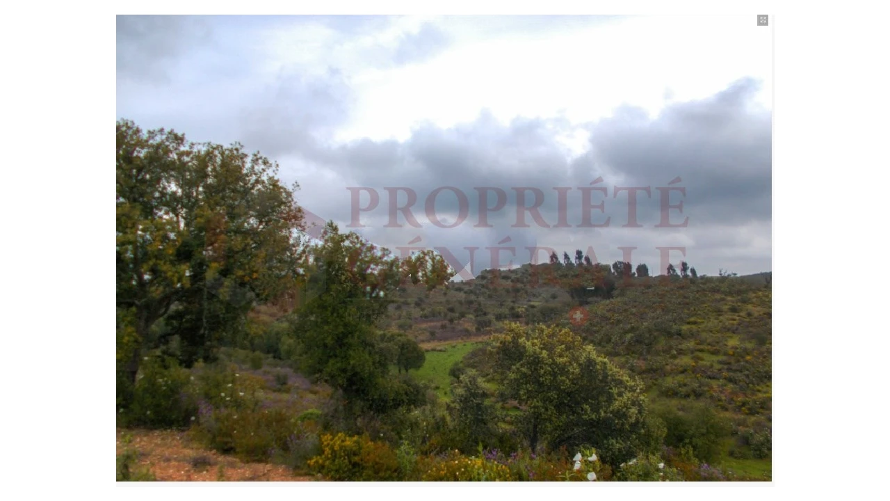 Quinta para Venda em Serpa (Salvador e Santa Maria) Foto 16