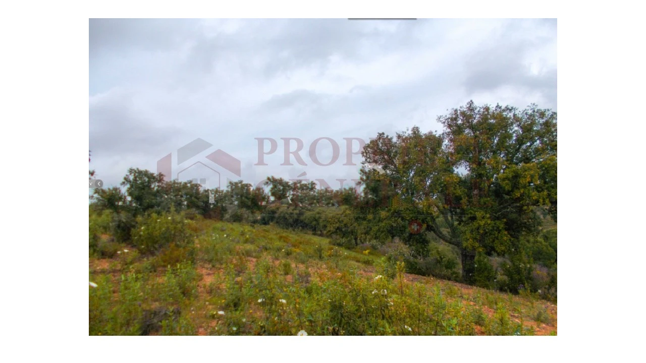 Quinta para Venda em Serpa (Salvador e Santa Maria) Foto 17