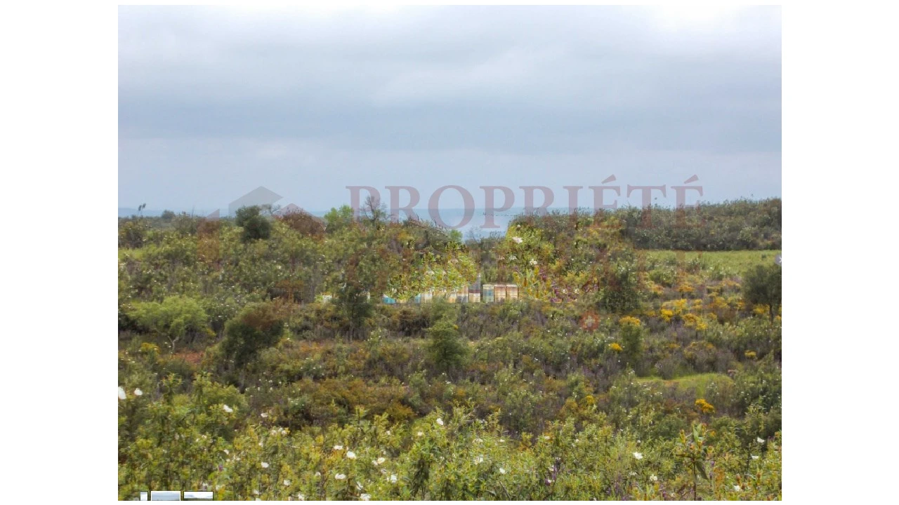 Quinta para Venda em Serpa (Salvador e Santa Maria) Foto 21