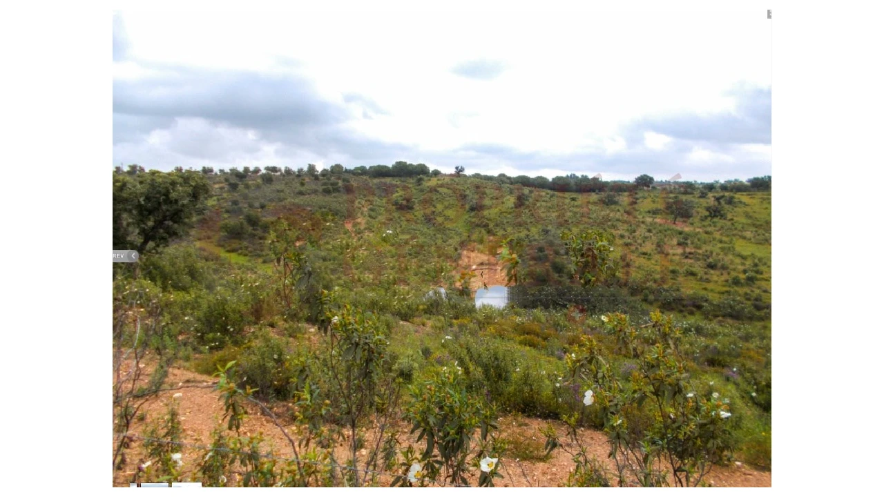 Quinta para Venda em Serpa (Salvador e Santa Maria) Foto 1