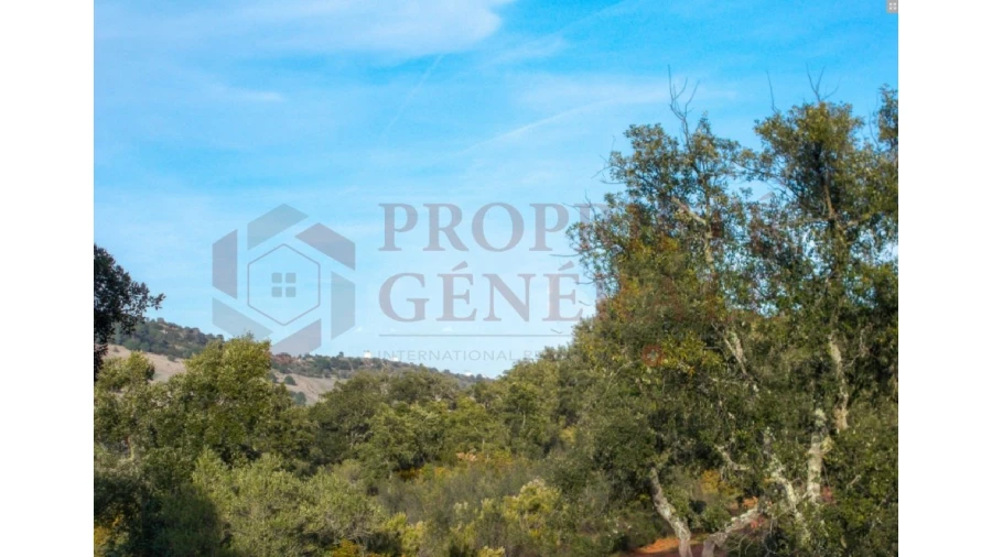 Quinta para Venda em Serpa (Salvador e Santa Maria) Foto 5