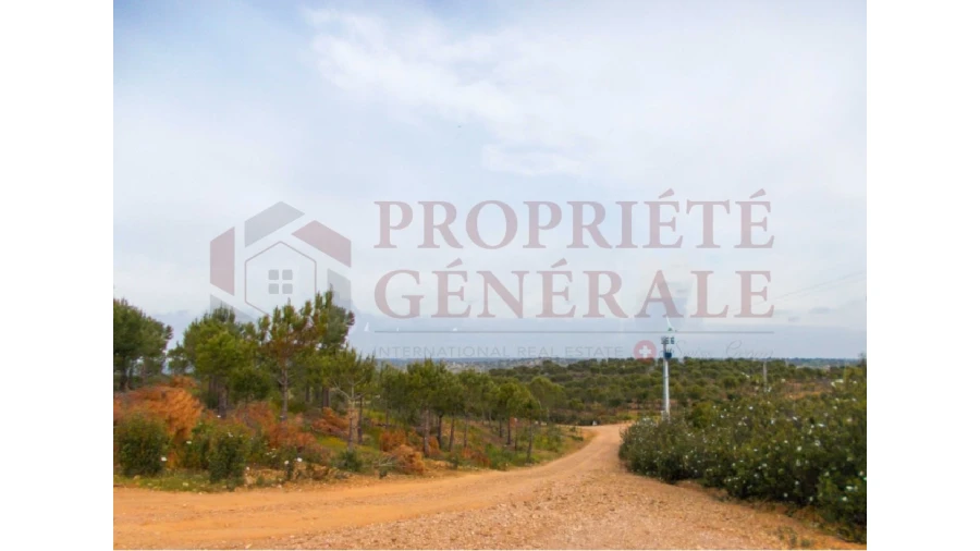 Quinta para Venda em Serpa (Salvador e Santa Maria) Foto 6