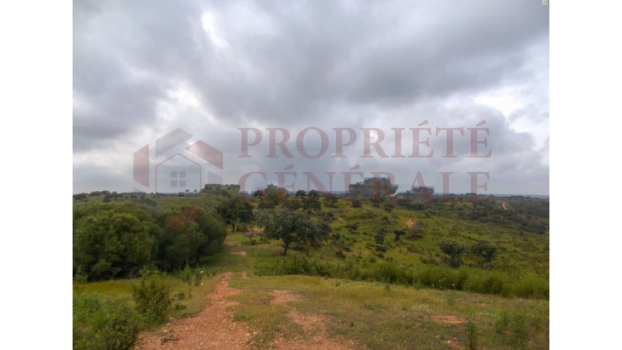 Quinta para Venda em Serpa (Salvador e Santa Maria) Foto 9