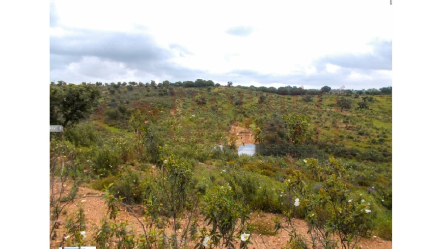 Quinta para Venda em Serpa (Salvador e Santa Maria) Foto 1