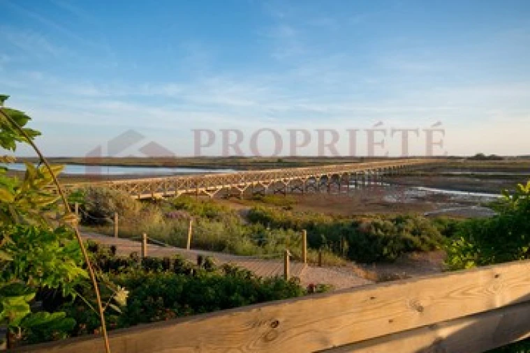 Terreno P/ Prédio para Venda em Olhão Foto 3