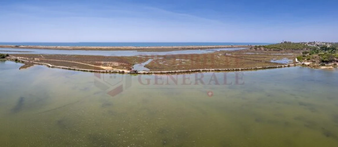 Terreno P/ Prédio para Venda em Olhão Foto 8