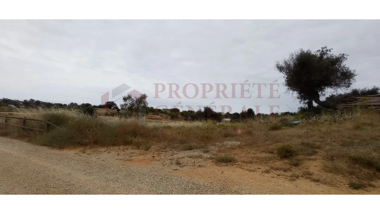 Negócio para Venda em Guia Foto 7