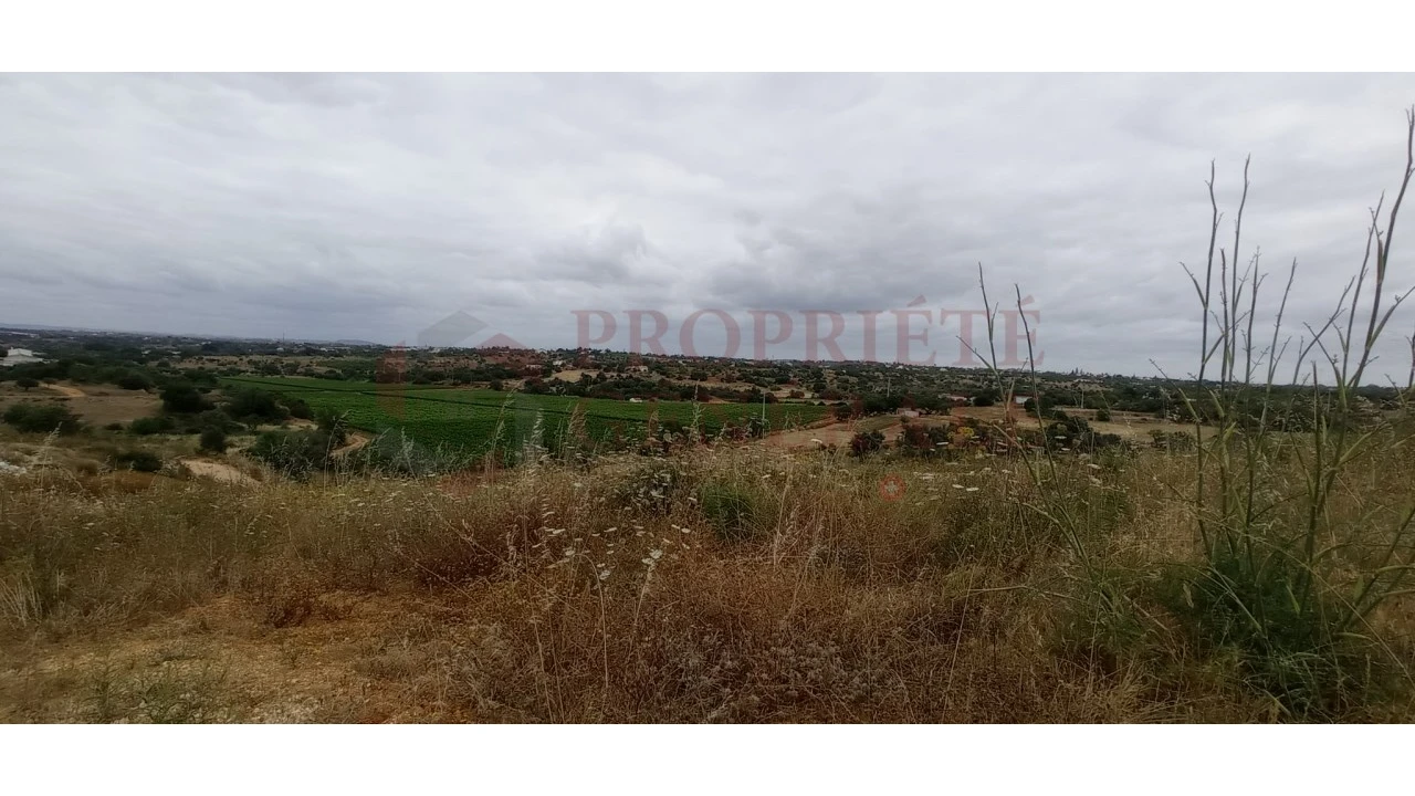 Negócio para Venda em Guia Foto 8