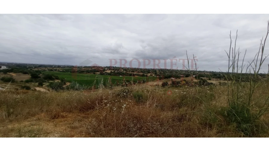 Negócio para Venda em Guia Foto 8