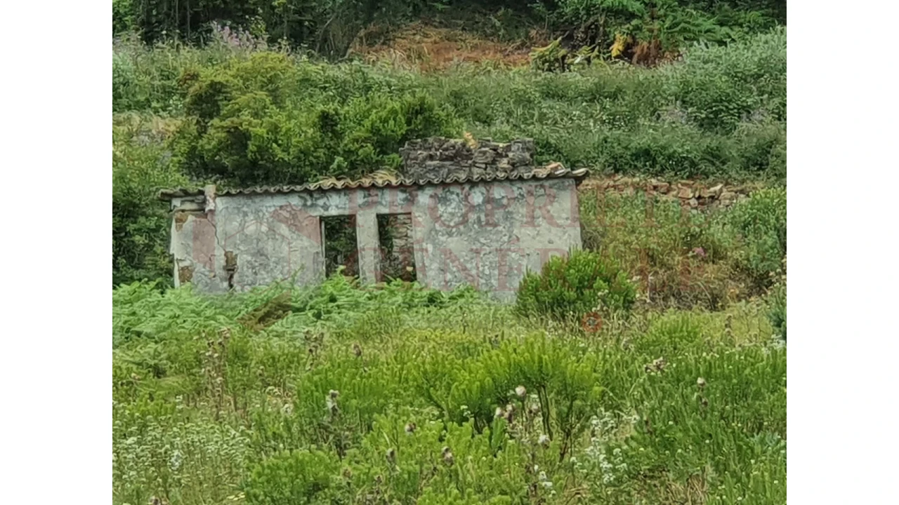 Terreno Agricola ou Rústico para Venda em Arruda dos Vinhos Foto 1