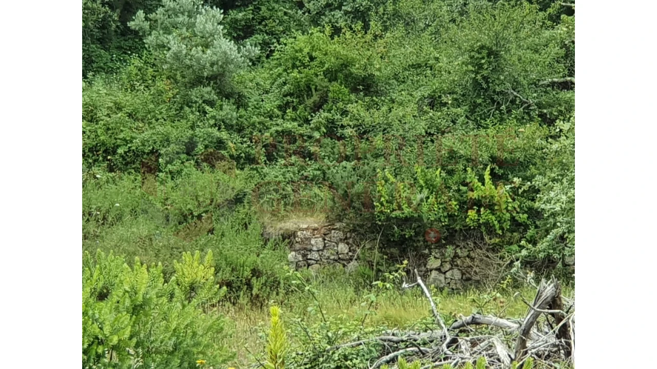 Terreno Agricola ou Rústico para Venda em Arruda dos Vinhos Foto 3