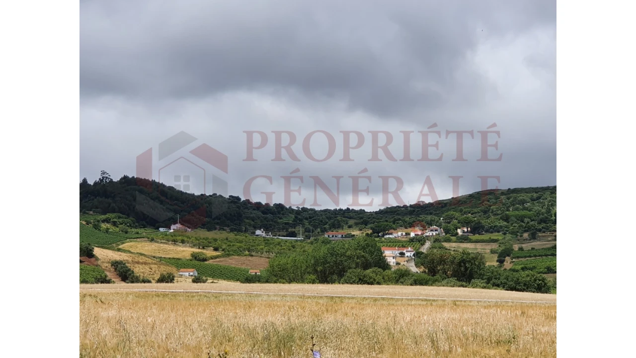 Terreno Agricola ou Rústico para Venda em Arruda dos Vinhos Foto 5