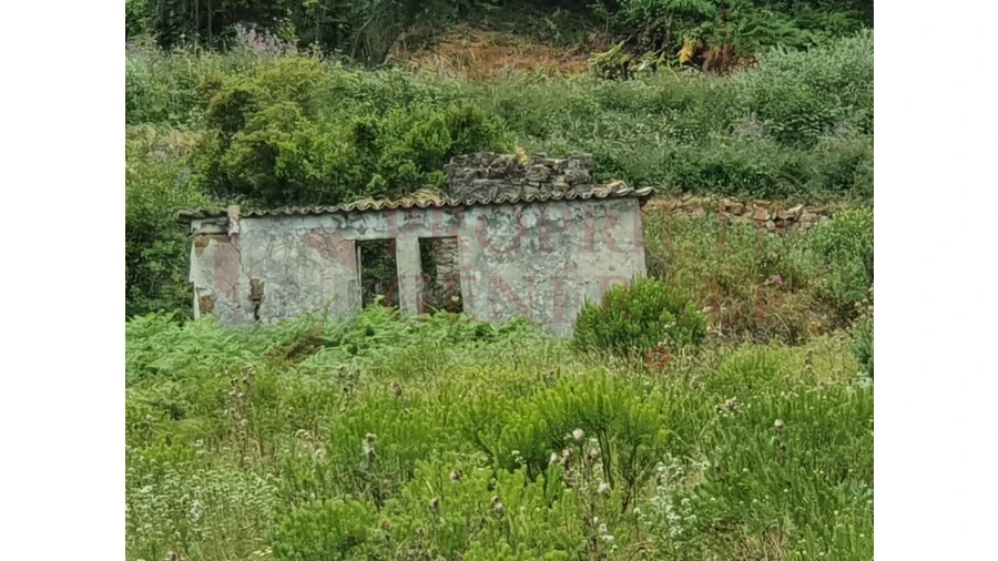 Terreno Agricola ou Rústico para Venda em Arruda dos Vinhos