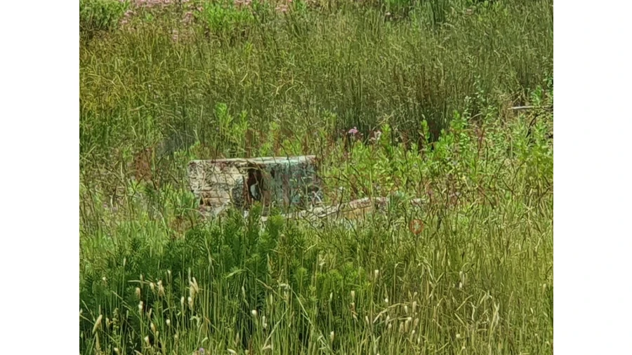 Terreno Agricola ou Rústico para Venda em Arruda dos Vinhos Foto 2