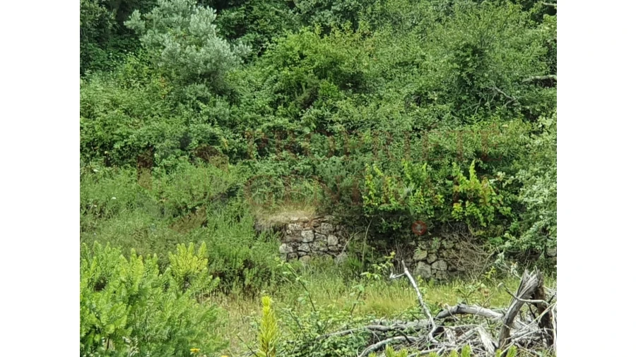 Terreno Agricola ou Rústico para Venda em Arruda dos Vinhos Foto 3