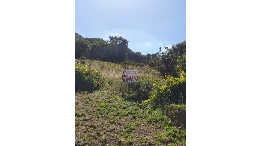 Terreno Agricola ou Rústico para Venda em Arruda dos Vinhos Foto 4