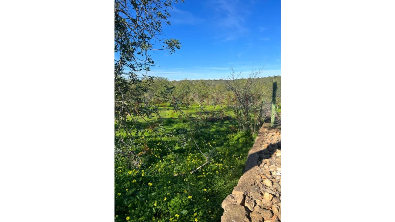 Terreno Misto para Venda em Albufeira e Olhos de Água Foto 1