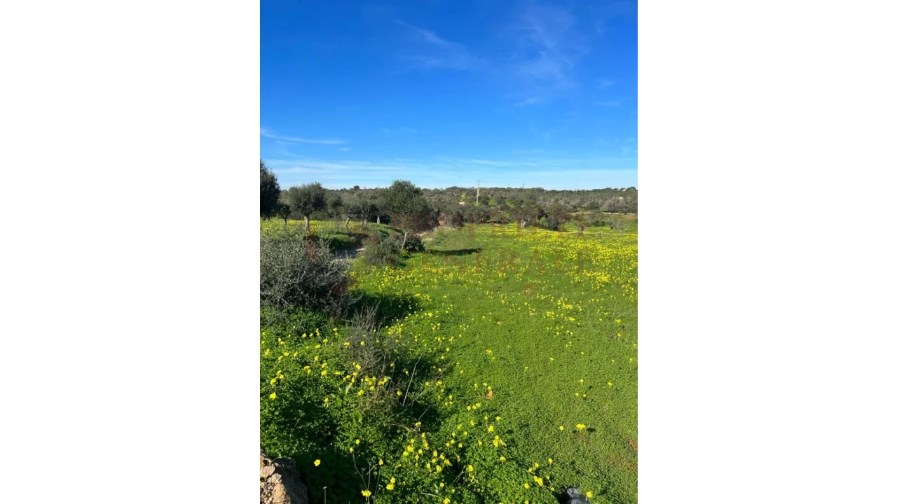 Terreno Misto para Venda em Albufeira e Olhos de Água Foto 2