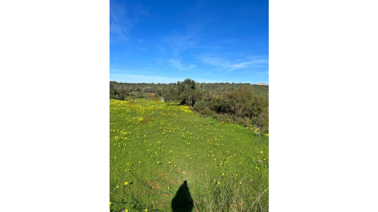 Terreno Misto para Venda em Albufeira e Olhos de Água Foto 4