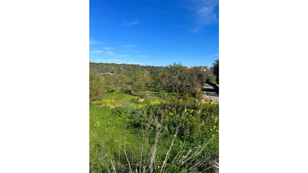 Terreno Misto para Venda em Albufeira e Olhos de Água Foto 6