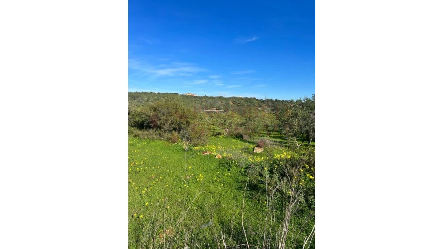 Terreno Misto para Venda em Albufeira e Olhos de Água Foto 3