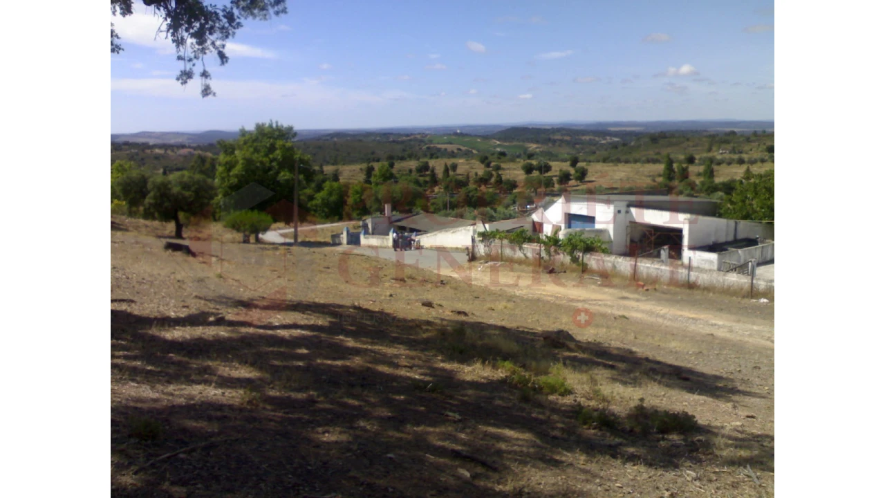 Quinta para Venda em Sé e São Lourenço Foto 2