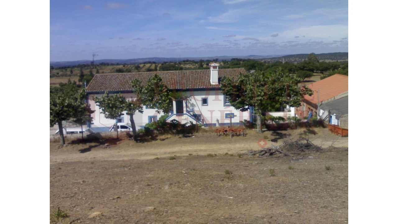 Quinta para Venda em Sé e São Lourenço Foto 3