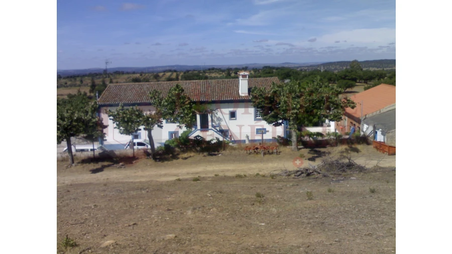 Quinta para Venda em Sé e São Lourenço Foto 3