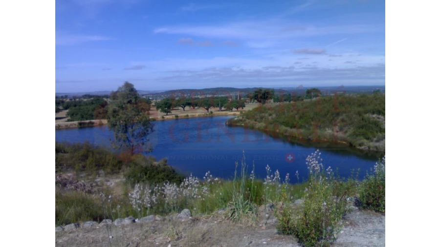 Quinta para Venda em Sé e São Lourenço Foto 6