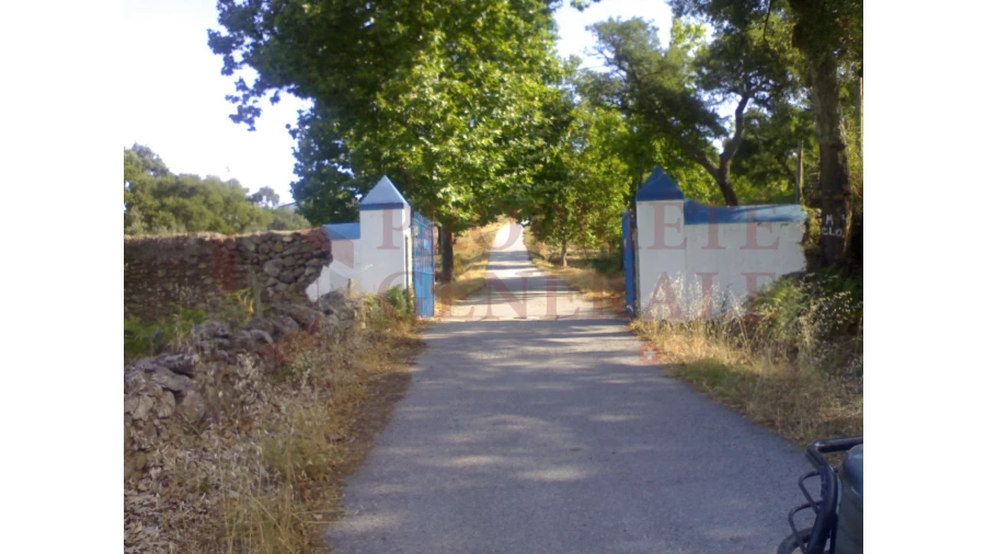 Quinta para Venda em Sé e São Lourenço