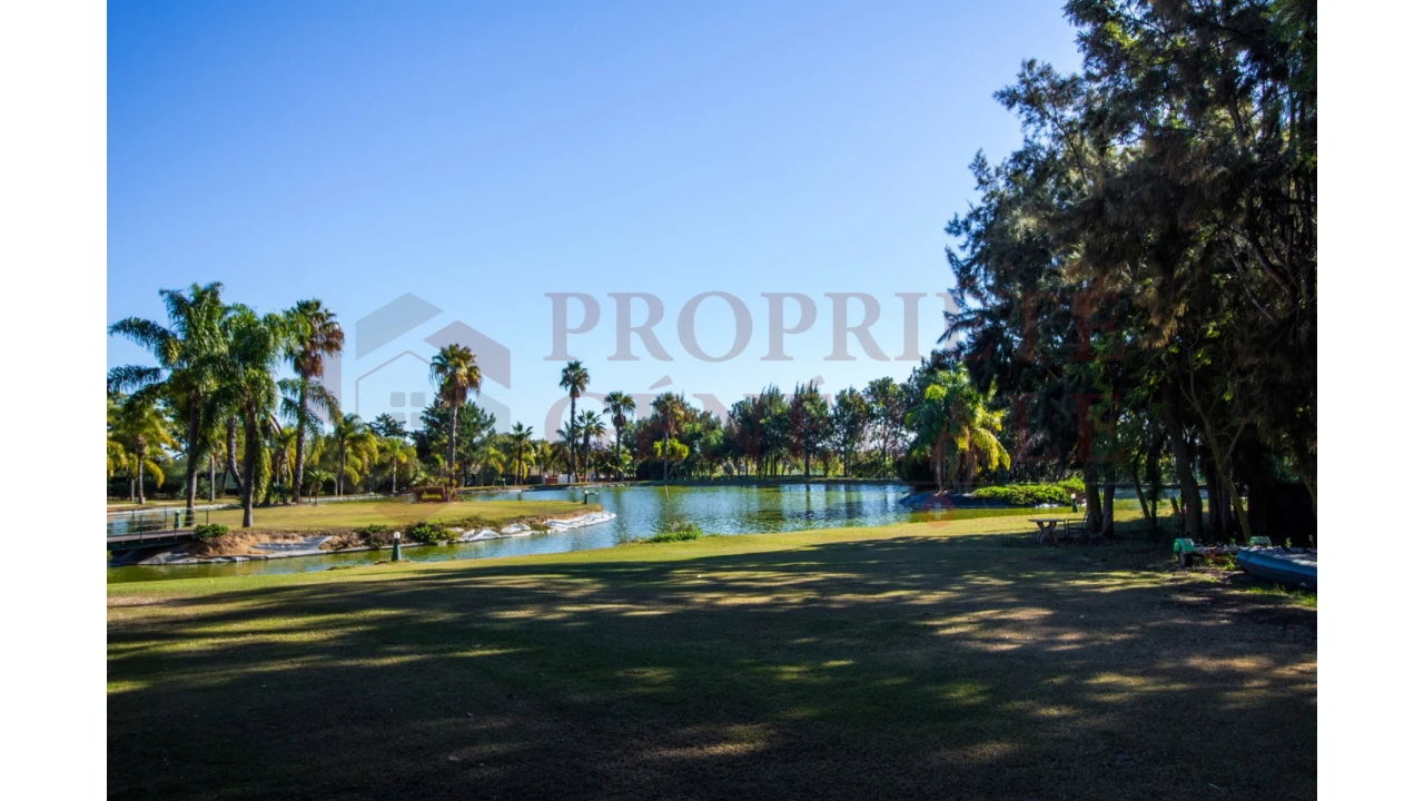 Quinta T4 para Venda em Olhão Foto 34