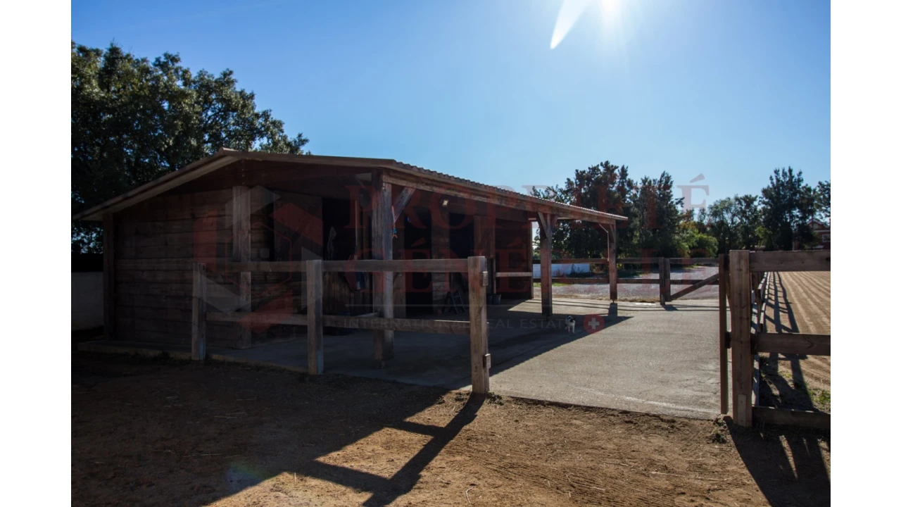 Quinta T4 para Venda em Olhão Foto 38
