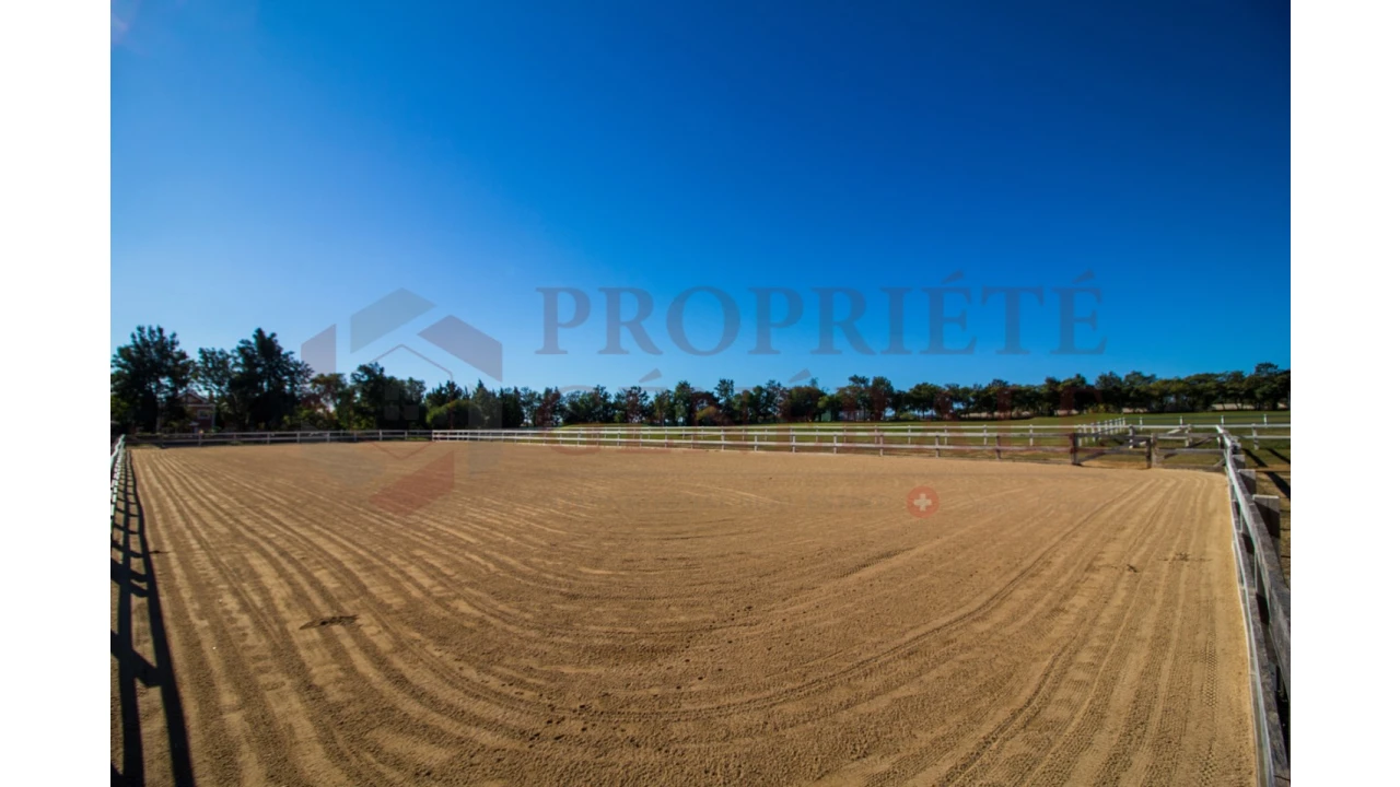 Quinta T4 para Venda em Olhão Foto 40