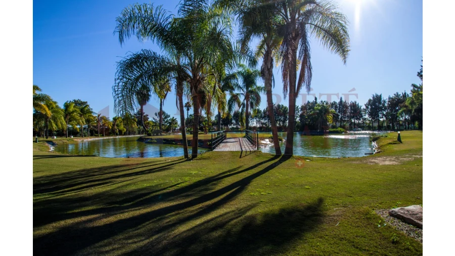 Quinta T4 para Venda em Olhão Foto 35