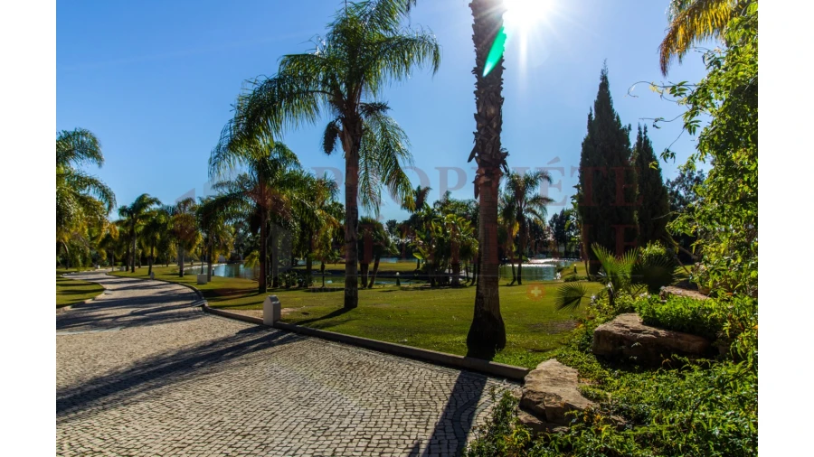 Quinta T4 para Venda em Olhão Foto 37