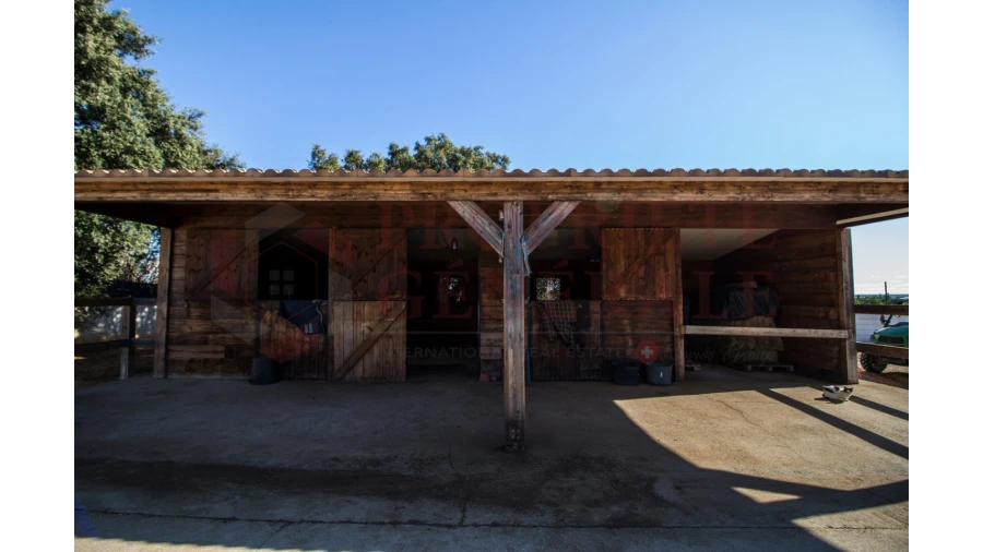 Quinta T4 para Venda em Olhão Foto 39