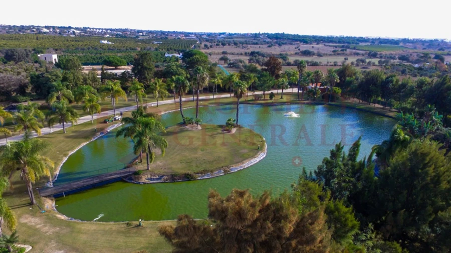 Quinta T4 para Venda em Olhão Foto 42