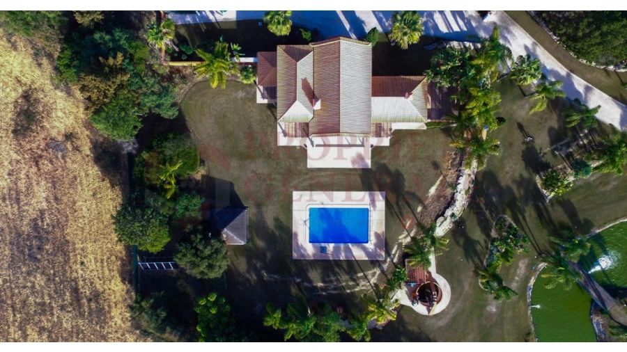 Quinta T4 para Venda em Olhão Foto 44