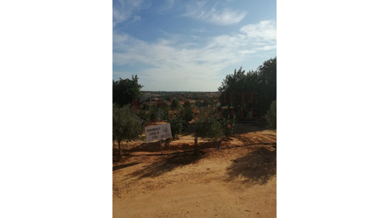 Quinta T4 para Venda em Guia Foto 9